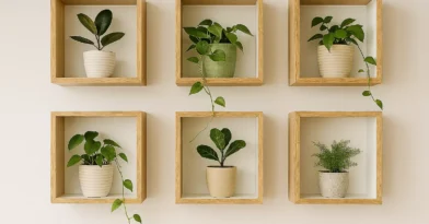 Nichos decorativos para plantas ou objetos
